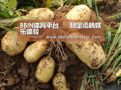 种植基地六