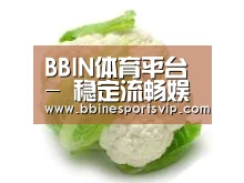 产品名称九