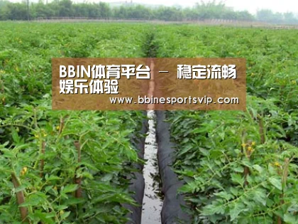 种植基地三
